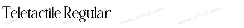 Teletactile Regular字体转换